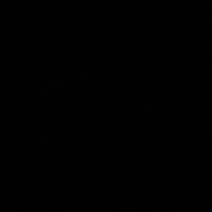 Meet your Posher, Indira